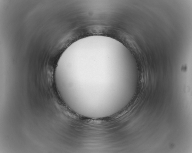 X0000092250332200709141010