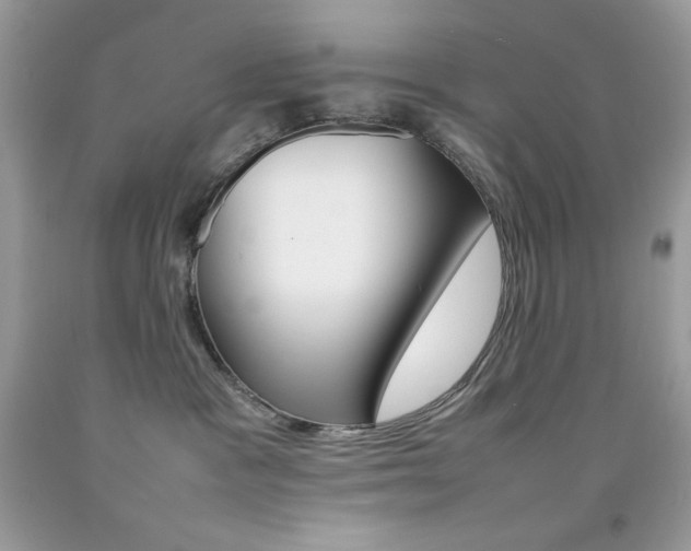 X0000092250333200709141010