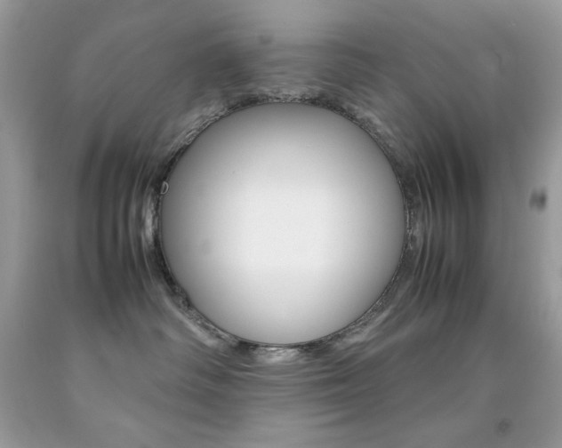 X0000092250334200709141010