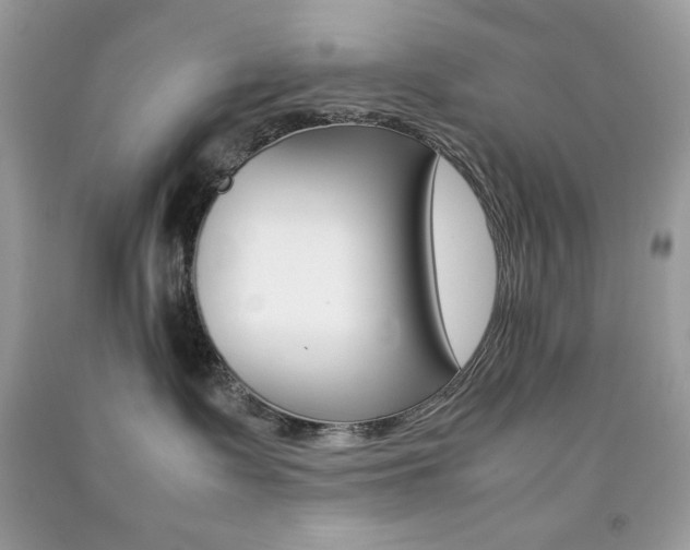 X0000092250335200709141010
