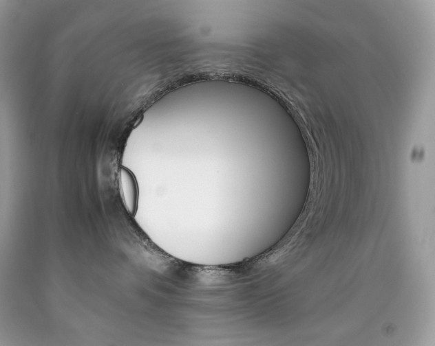 X0000092250336200709141010