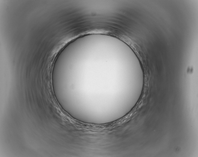 X0000092250337200709141010
