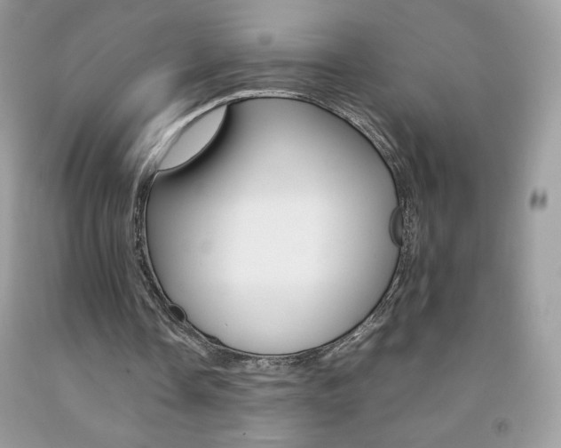 X0000092250338200709141010