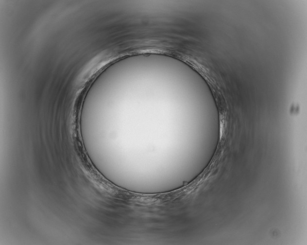 X0000092250339200709141010