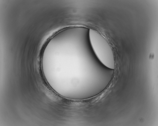 X0000092250342200709141010