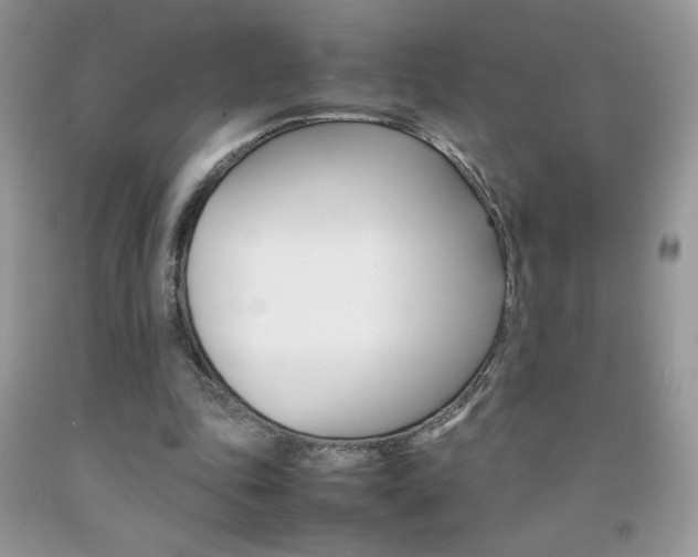 X0000092250343200709141010