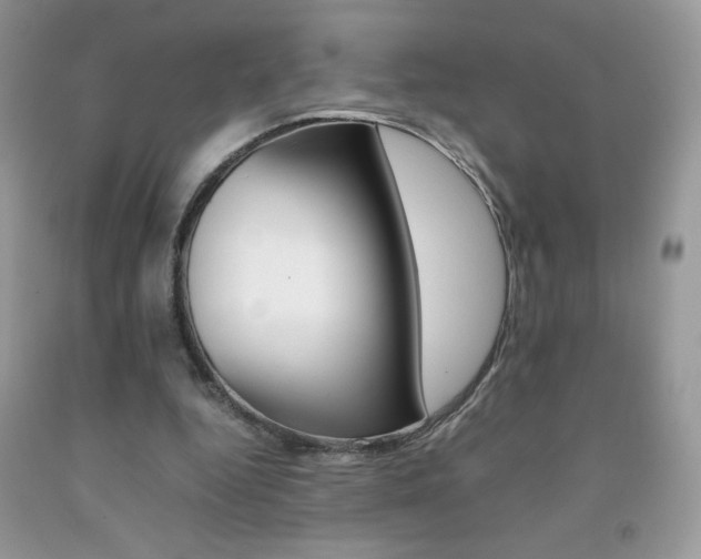 X0000092250344200709141010