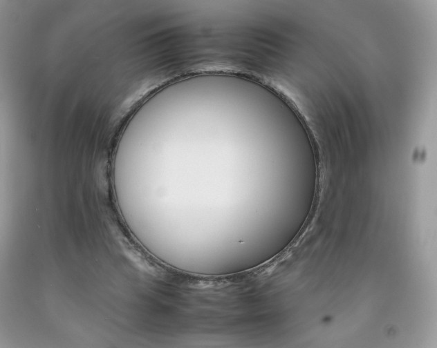 X0000092250345200709141010