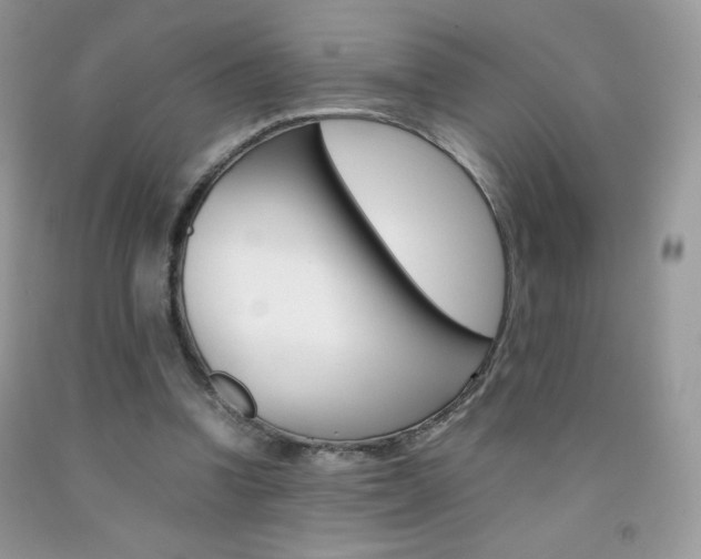 X0000092250346200709141010