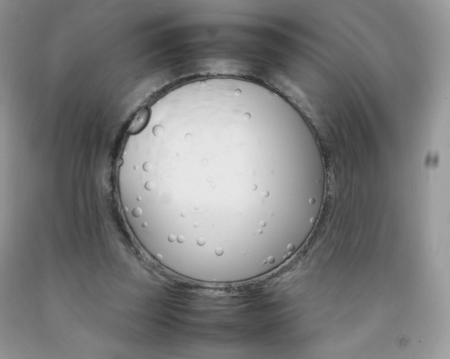 X0000092250347200709141010