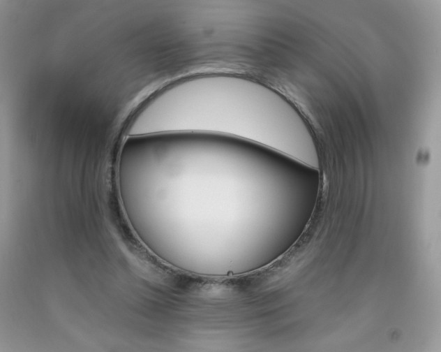 X0000092250348200709141010