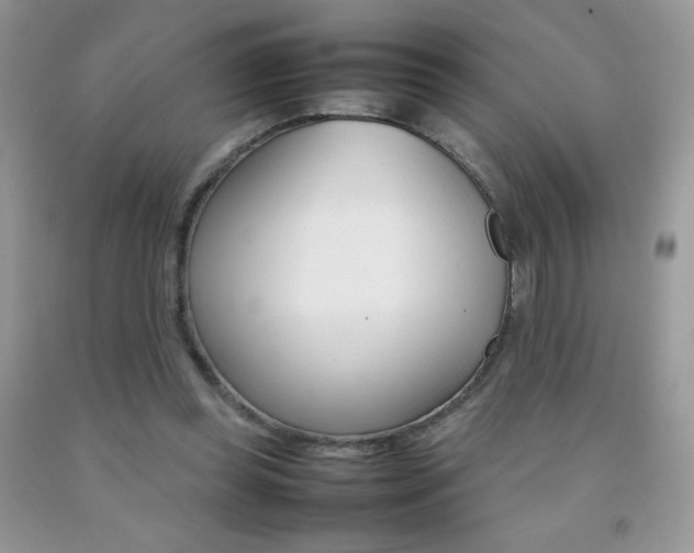 X0000092250349200709141010