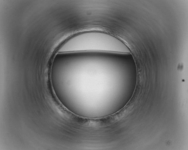 X0000092250350200709141010