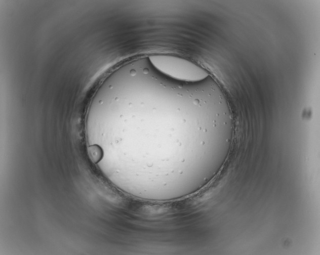 X0000092250351200709141010