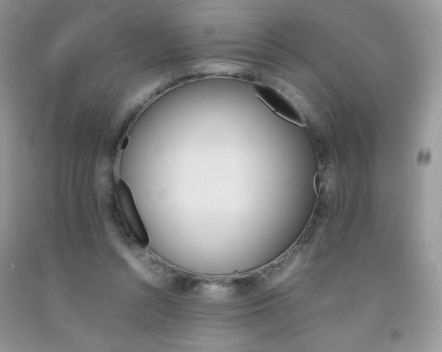 X0000092250352200709141010