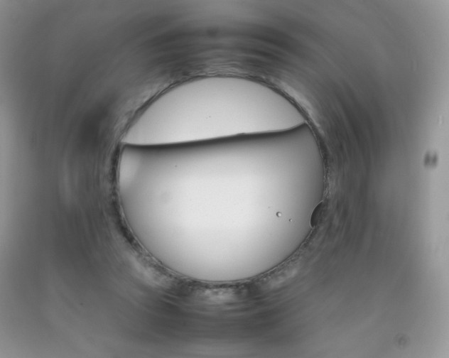 X0000092250353200709141010