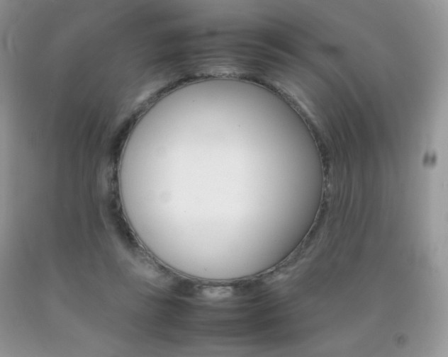 X0000092250355200709141010