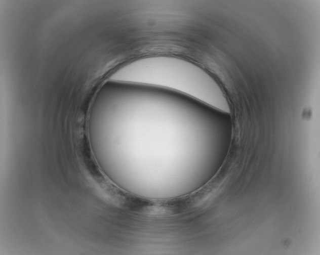 X0000092250356200709141010