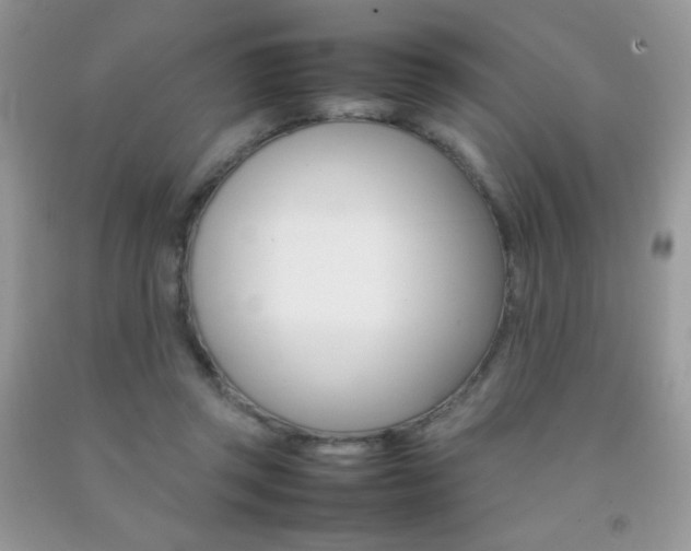 X0000092250357200709141010