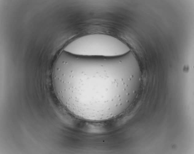 X0000092250359200709141010