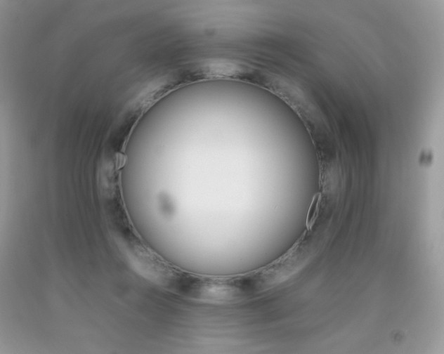 X0000092250360200709141010