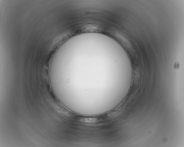 X0000092250361200709141010