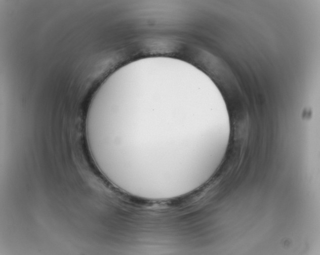 X0000092250362200709141010
