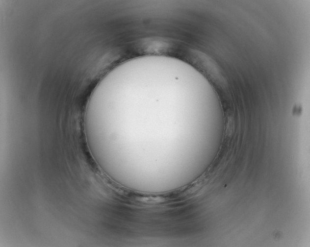 X0000092250363200709141010