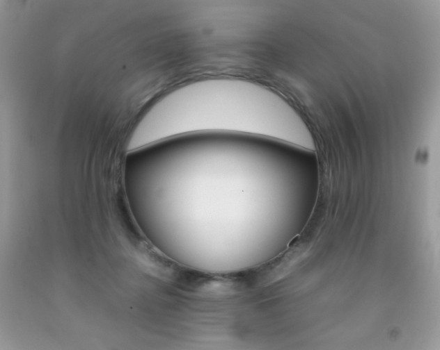 X0000092250364200709141010