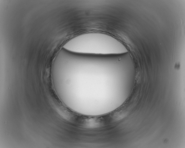 X0000092250365200709141010