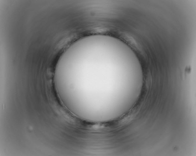 X0000092250366200709141010