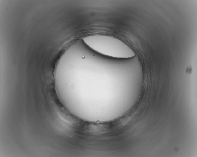 X0000092250367200709141010