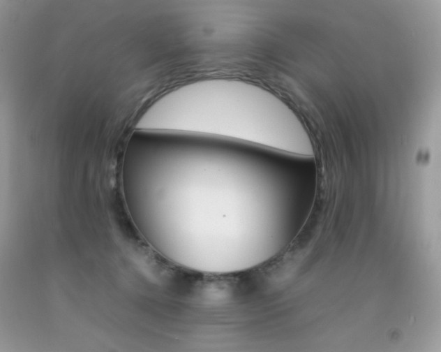 X0000092250368200709141010