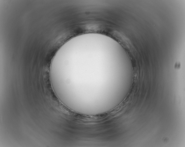 X0000092250369200709141010