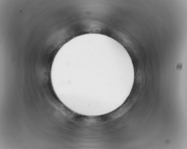 X0000092250370200709141010