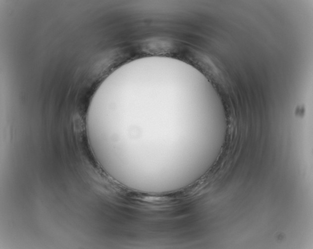 X0000092250371200709141010