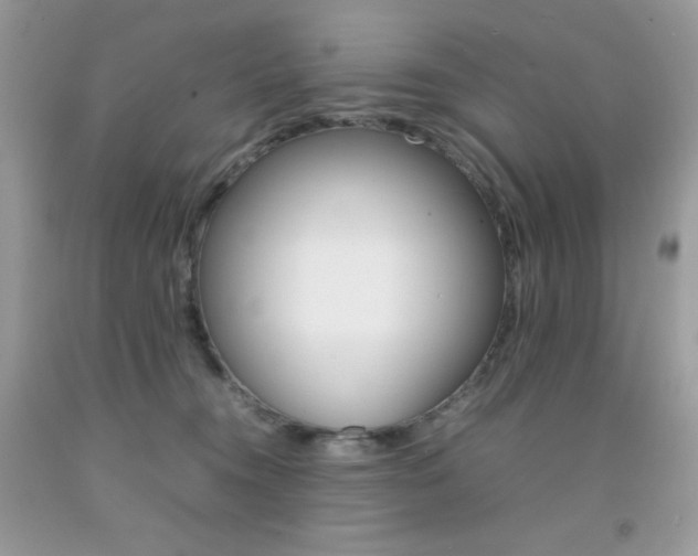 X0000092250372200709141010