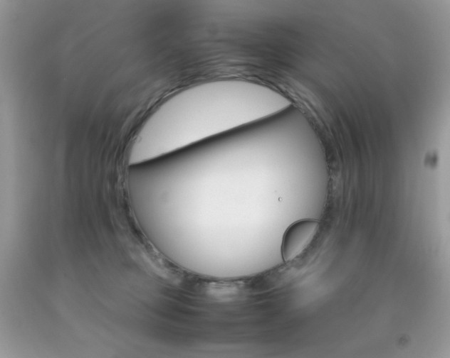 X0000092250373200709141010
