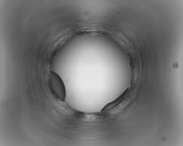 X0000092250376200709141010