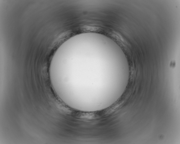 X0000092250377200709141010