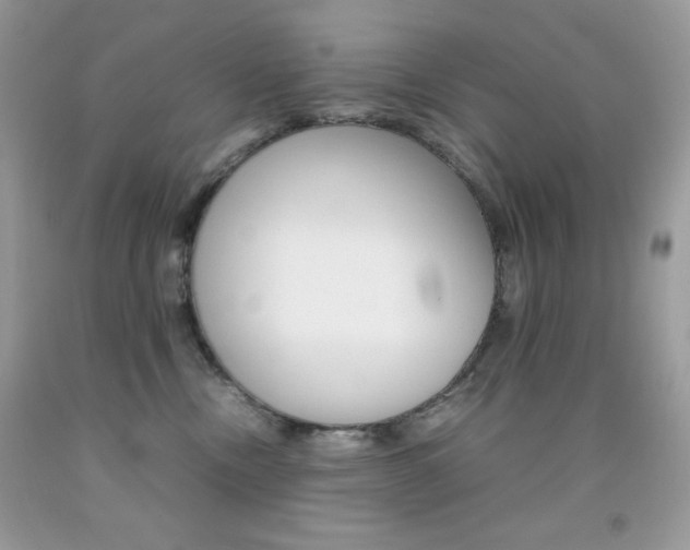 X0000092250378200709141010