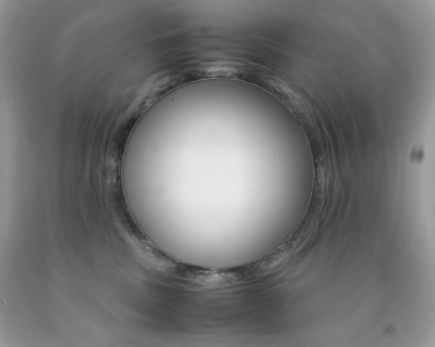 X0000092250379200709141010