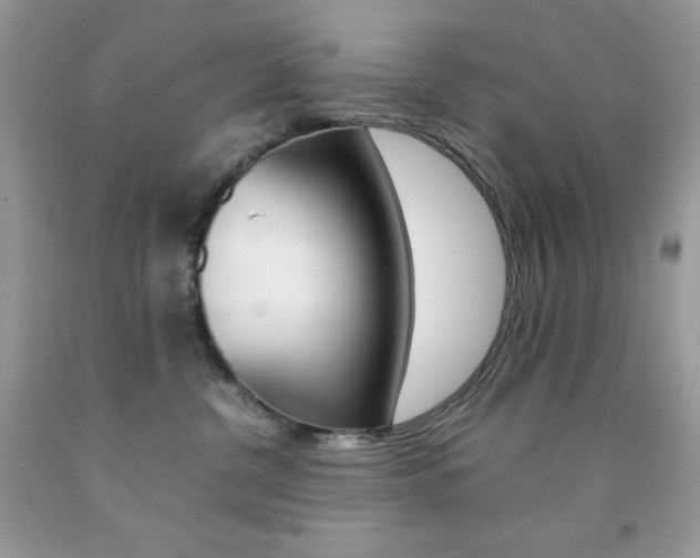 X0000092250380200709141010