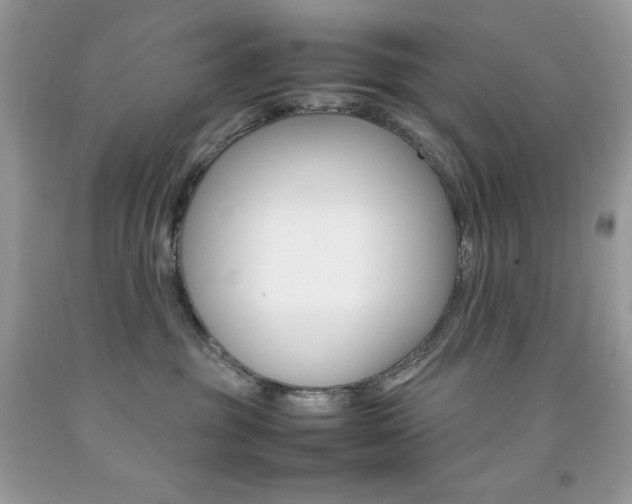 X0000092250381200709141010
