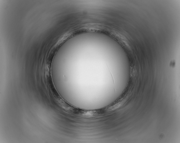 X0000092250382200709141010
