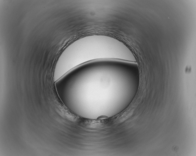 X0000092250384200709141010