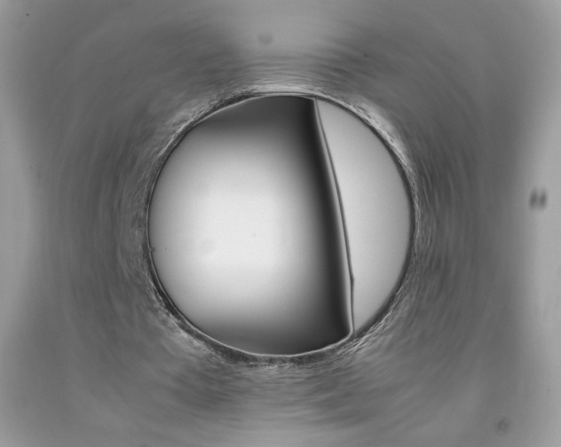 X0000092250385200709141010