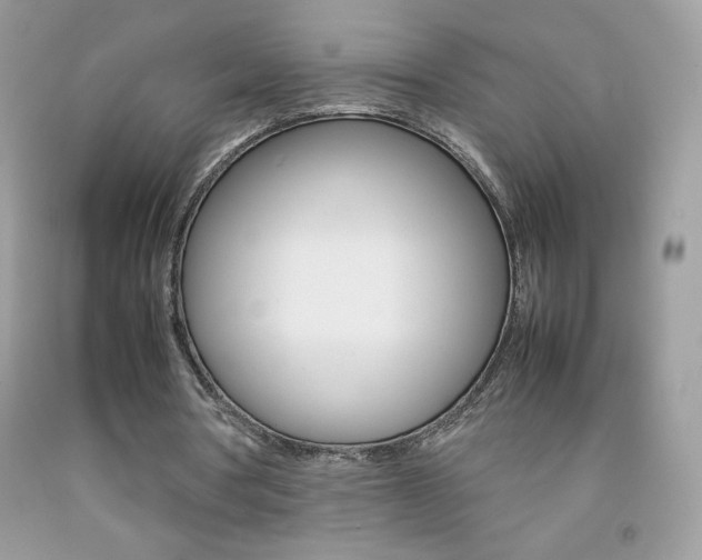 X0000092250386200709141010