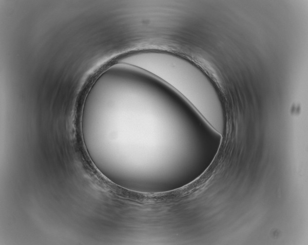 X0000092250388200709141010