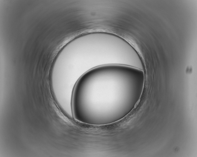 X0000092250389200709141010